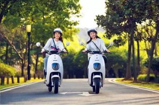 4月15日后電動(dòng)車、三輪車上牌指南 你最關(guān)心的問題都在這